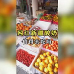 吃瓜娱乐周边,揭秘吃瓜娱乐周边的趣味世界