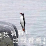 娱乐吃瓜君王鸥,娱乐圈的“吃瓜”女王，揭秘幕后故事