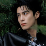 娱乐吃瓜爆料王鹤棣,娱乐圈新晋“吃瓜王”的崛起之路