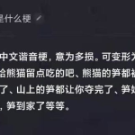 娱乐吃瓜资料来源于哪里,揭秘娱乐圈吃瓜资料的来源与传播