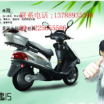 新日电动车电瓶价格,品牌、型号与性价比对比