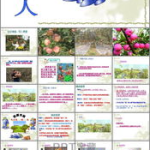 果园机器人ppt,农业自动化与科技创新的完美结合