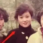 娱乐圈中年吃瓜少女,揭秘中年吃瓜少女生存法则